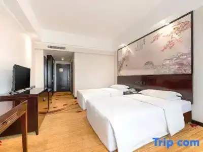 Tianyi Commercial - 46