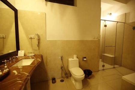 Narain Niwas Palace - 4
