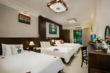 Hanoi Stella - 123