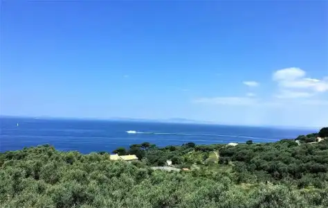 Dania - 56