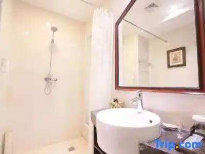 ibis budget Singapore Sapphire - 55