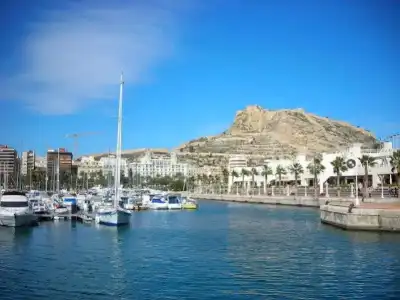Rambla Alicante Contactless - 19
