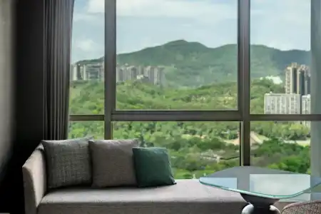 The G Shenzhen, A Tribute Portfolio - 26