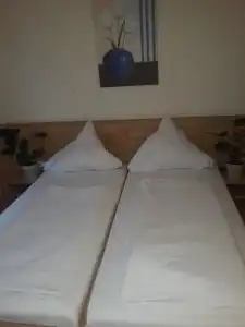 Restaurant Stern - 15