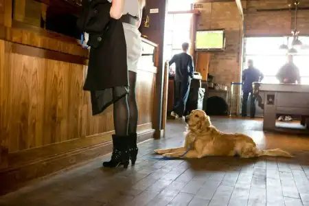 The Iron Horse - 46