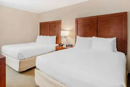 Comfort Inn Santa Monica - West Los Angeles - 5