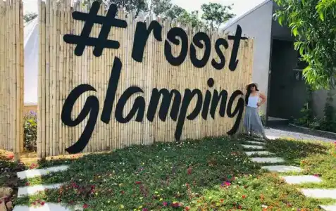 Roost Glamping - 26