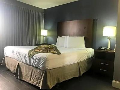 Alamar Resort Inn - 22