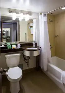 Holiday Inn Houston Downtown by IHG - 51