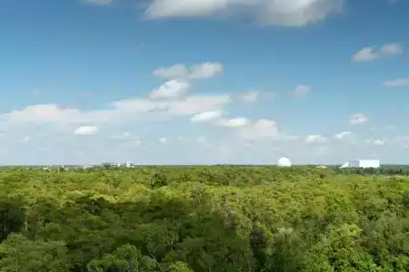 JW Marriott Orlando Bonnet Creek Resort & Spa - 74