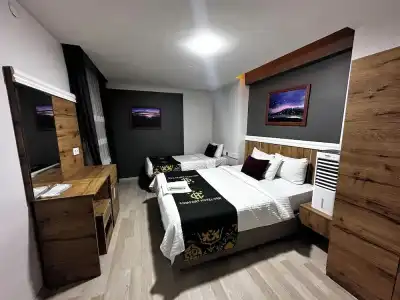 Comfort Van - 36