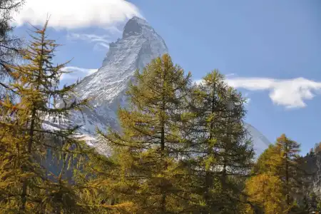 Youth Hostel Zermatt - 9