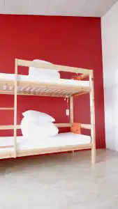 Snotra Hostel - 19