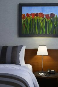Modus Istanbul - 35