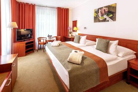 Spa & Wellness Olympia Marienbad - 30