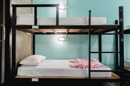 The Guest - Hostel - 47