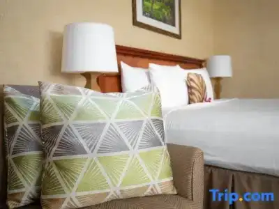 Waikiki Resort - 65