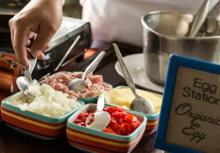 Dolphin Bay Beach Resort - 12