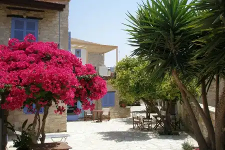 Traditional Village House - 8