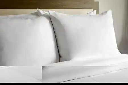 Marriott Dallas Las Colinas - 33