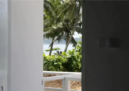 The Surfer - 4