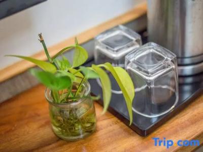 Qilan Boutique Homestay - 59