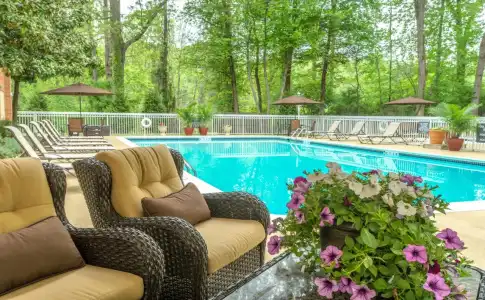 Holiday Inn Charlottesville-Monticello by IHG - 12