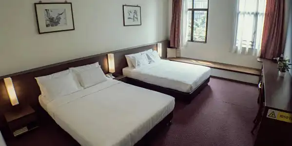 VIP (SG Clean Certified) - 56