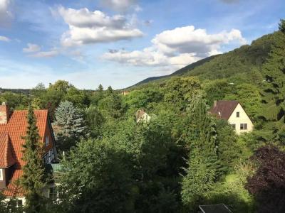 Plumbohms Echt-Harz-Apartments - 17