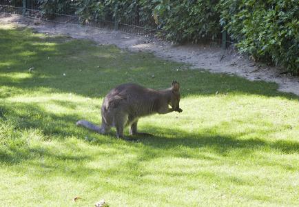 Jardin Des Plantes - 17