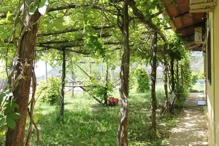 Agriturismo Piccolo Paradiso - 10