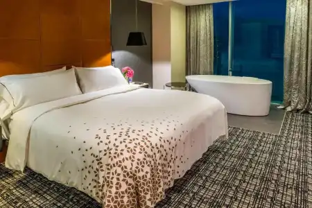 Renaissance Santiago by Marriott - 85