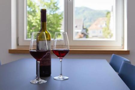 Sternen Bohlingen Aparthotel - 151