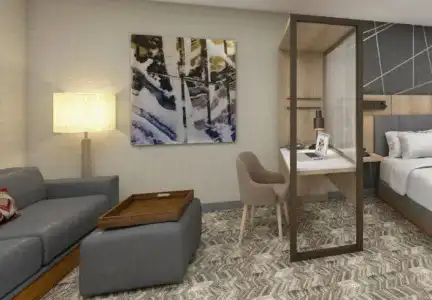 SpringHill Suites by Marriott Charlotte at Carowinds - 1