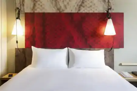 ibis Rennes Centre Gare Sud - 43