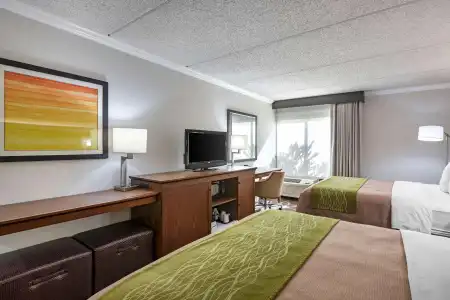 Comfort Inn Anaheim Resort - 2