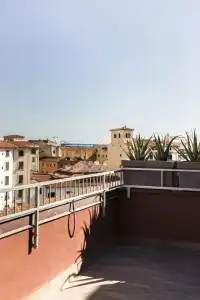 Agave in città - 125