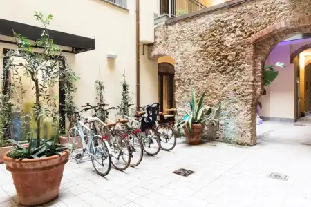 Agave in città - 20