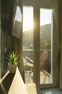 Soothe - 251