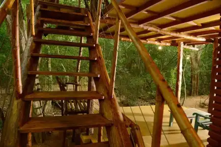 Back of Beyond - Pidurangala - 70