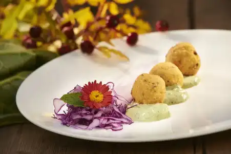 Vegan LA VIMEA - 13