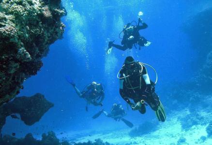 Arrayanes Playa Almuñecar - 19