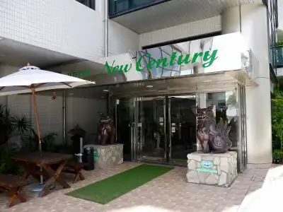 New Century - 26