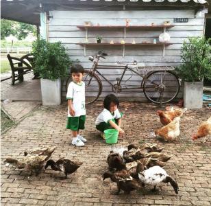 Wanlapa Farmstay - 20