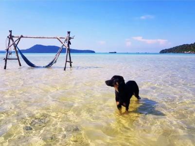 Dolphin Bay Resort - 11