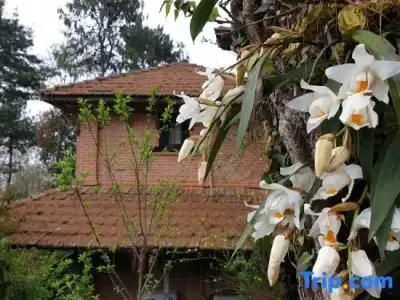 The Fort Resort - 27