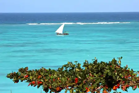 Sazani Beach Lodge and Tidal Lounge - 10