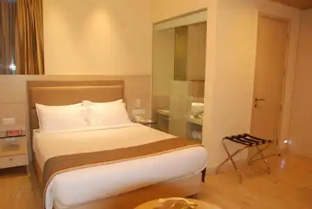 Sarovar Portico Naraina Delhi - 49
