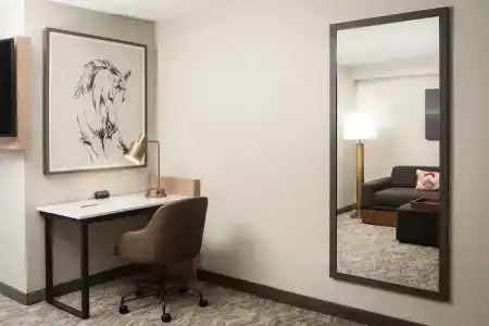 SpringHill Suites Dallas Downtown / West End - 46