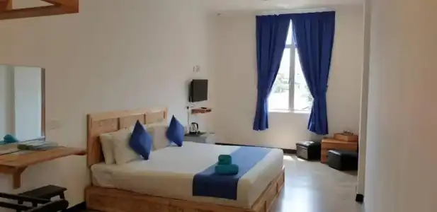 Paretto Seaview - 25
